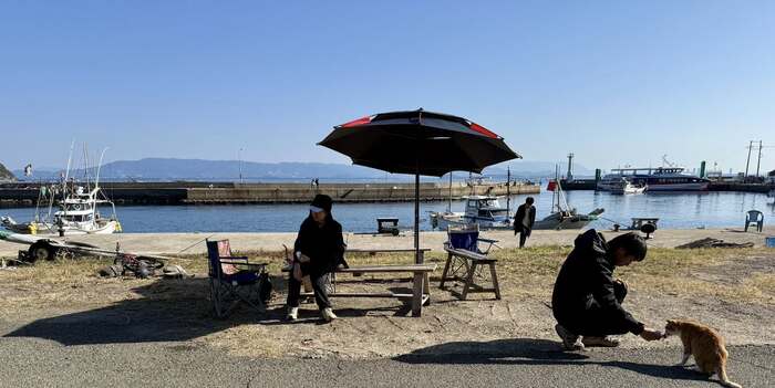 【課程側寫】福岡田野調查：貓島圖片