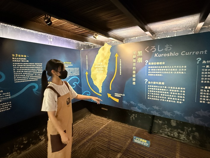 【實習報導】從館舍導覽到文化轉譯：蕭詠彌於七星柴魚博物館的實習成長圖片