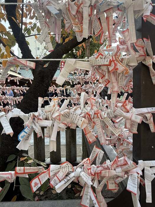 【課程側寫】福岡田野調查：神社踏查圖片